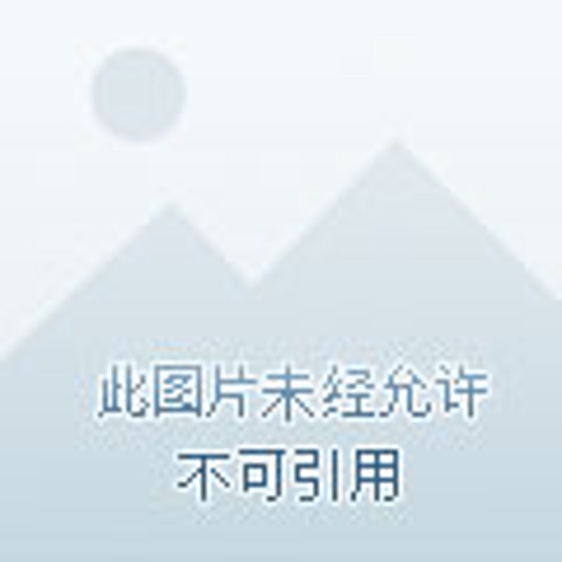 新手购车指南：如何选择可靠的济南商贸公司